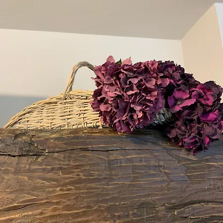 I Carcioni Infinity Pool Holiday home Belgirate